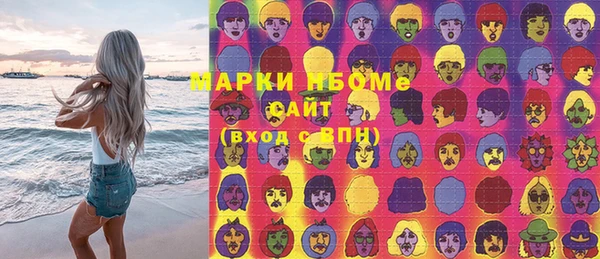 2c-b Бородино