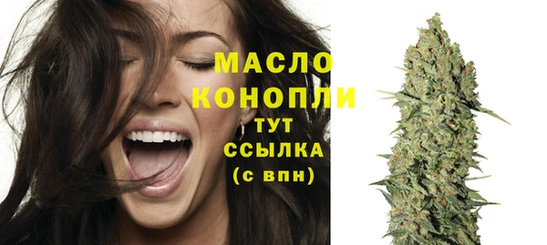 2c-b Бородино