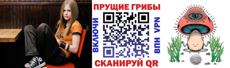 mega как войти  магазин    Сретенск  Псилоцибиновые грибы мицелий 